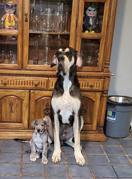 Morpheus and dad